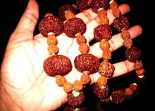 Load image into Gallery viewer, INDRAKSHI MALA Combination Oo 1 To 21 MUKHI Rudraksh Religious Collectible