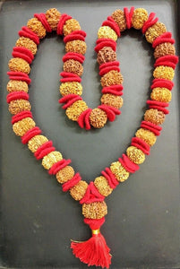 10 Mukhi Rudraksha Kantha / Narayan Krishna Kantha - 33 Beads - Nepal