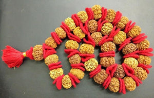 10 Mukhi Rudraksha Kantha / Narayan Krishna Kantha - 33 Beads - Nepal