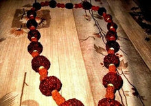 Load image into Gallery viewer, INDRAKSHI MALA Combination Oo 1 To 21 MUKHI Rudraksh Religious Collectible