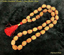 Cargar imagen en el visor de la galería, 3 Mukhi Rudax Kuber Temple Blessed Wealth Mala Guaranteed Money Drawing A++